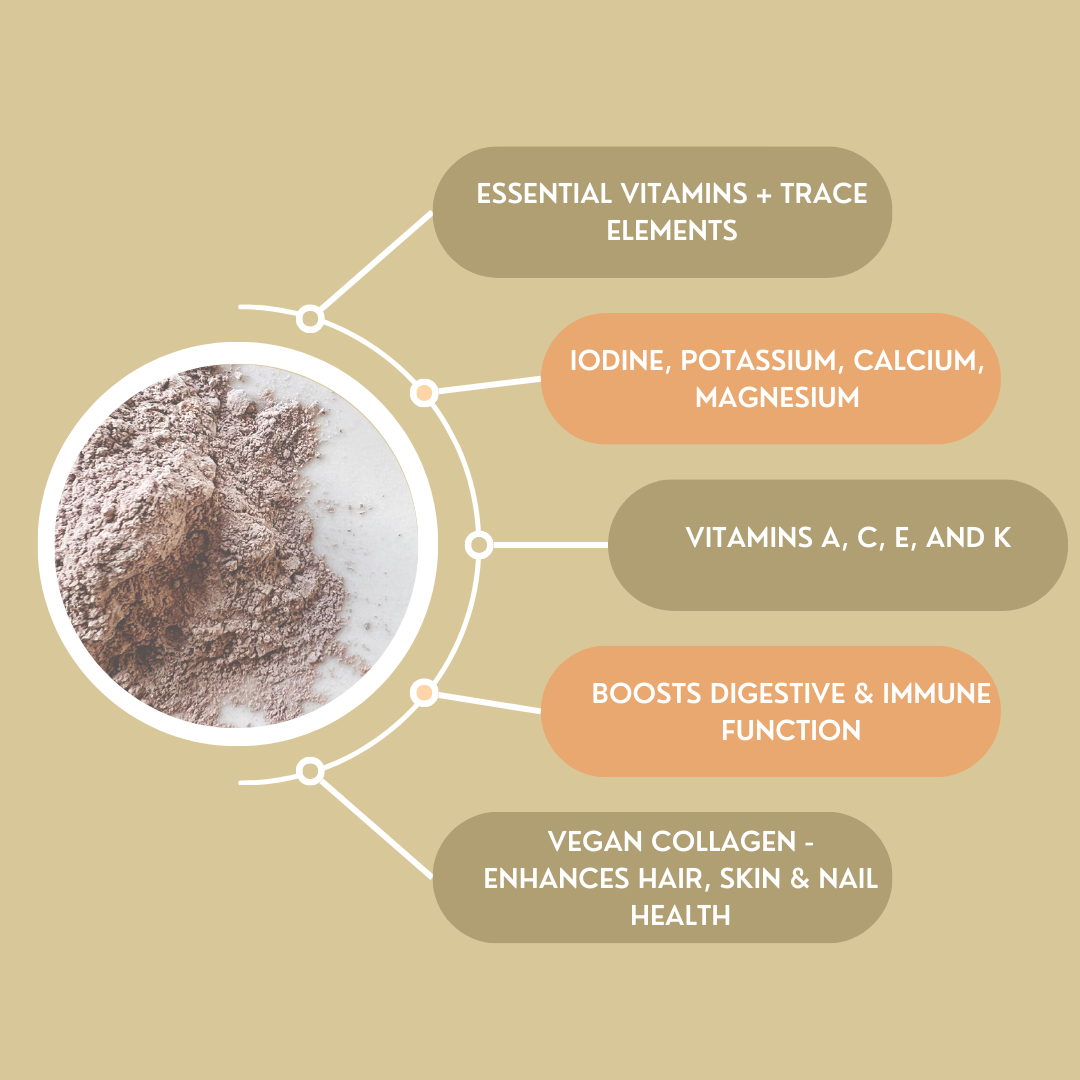 Irish Sea Moss & Bladderwrack I Organic & Wildcrafted