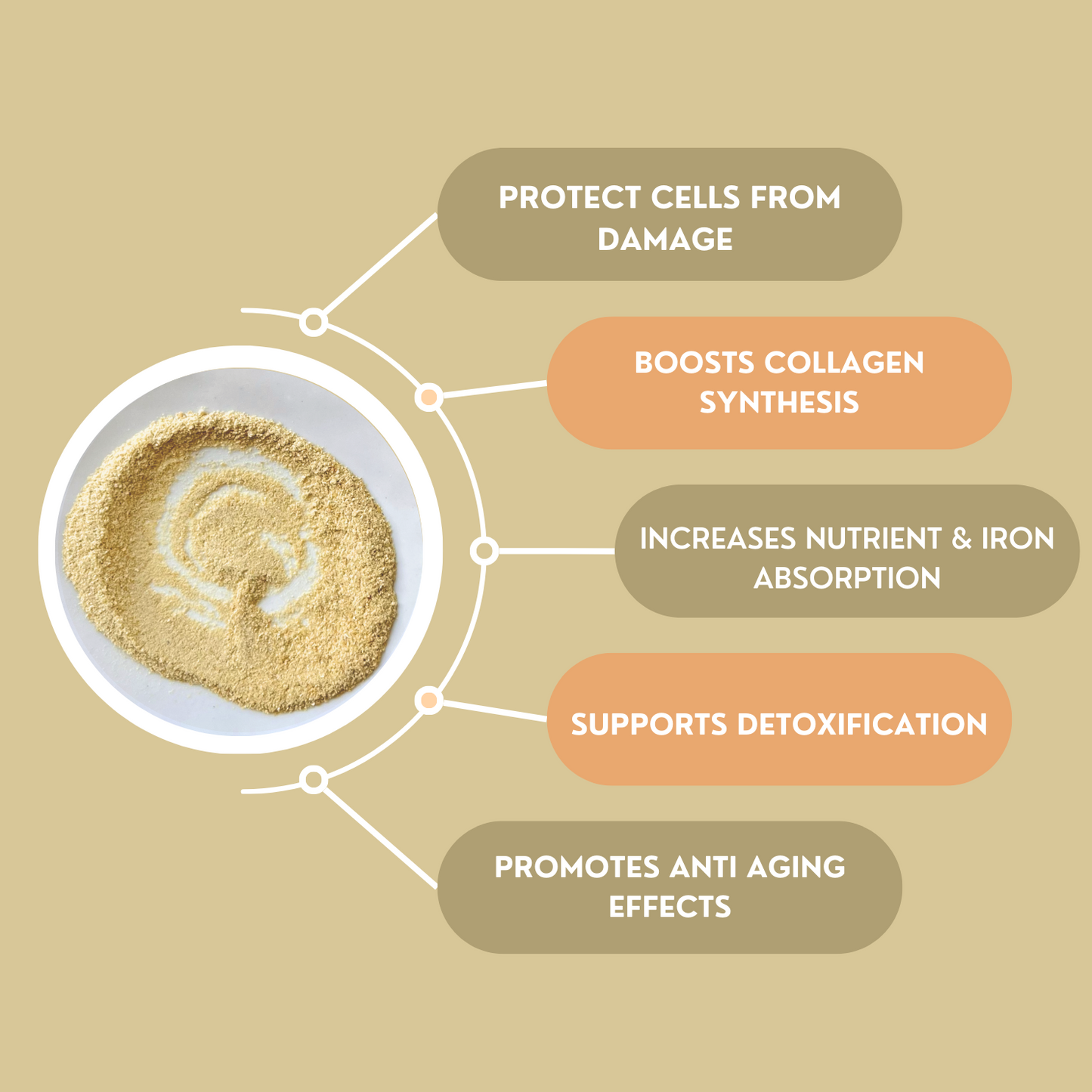 Premium Kakadu Vitamin C+ I Organic & Wildcrafted