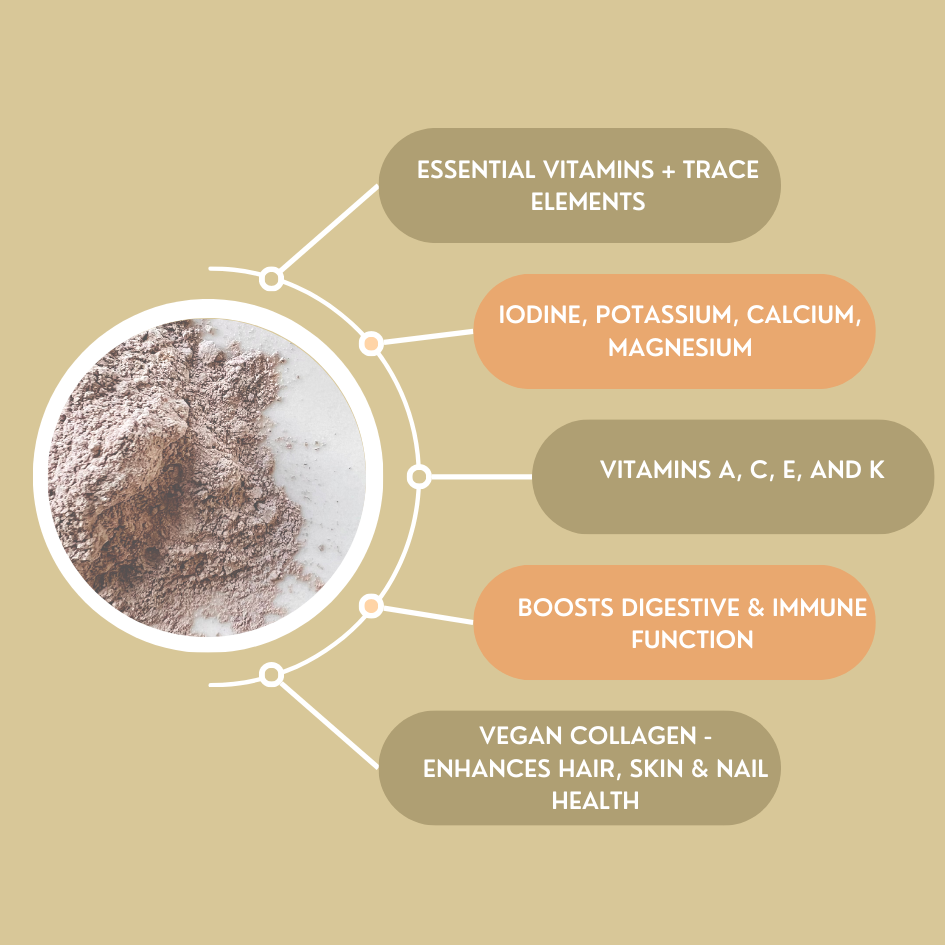 Whole Irish Sea Moss I Organic & Wildcrafted