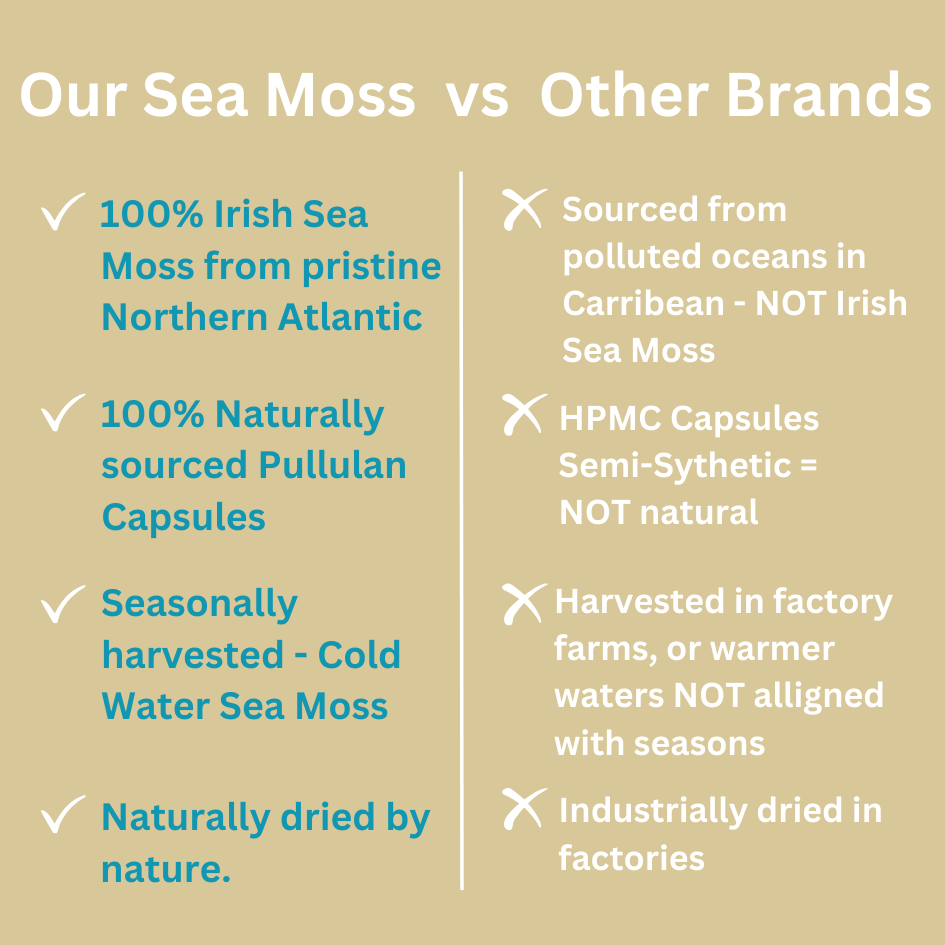 Whole Irish Sea Moss I Organic & Wildcrafted