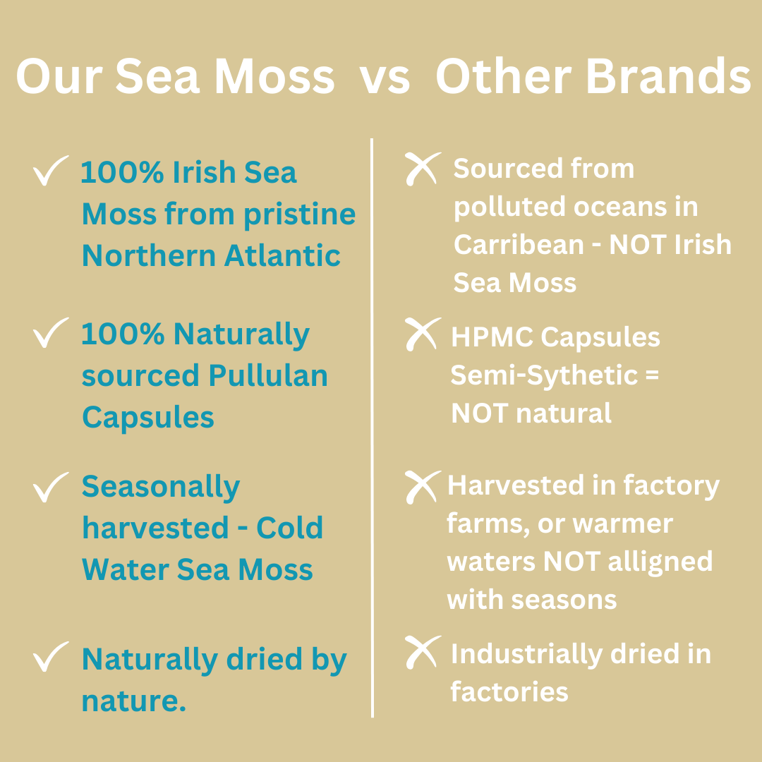 Irish Sea Moss I  Wildcrafted & Organic