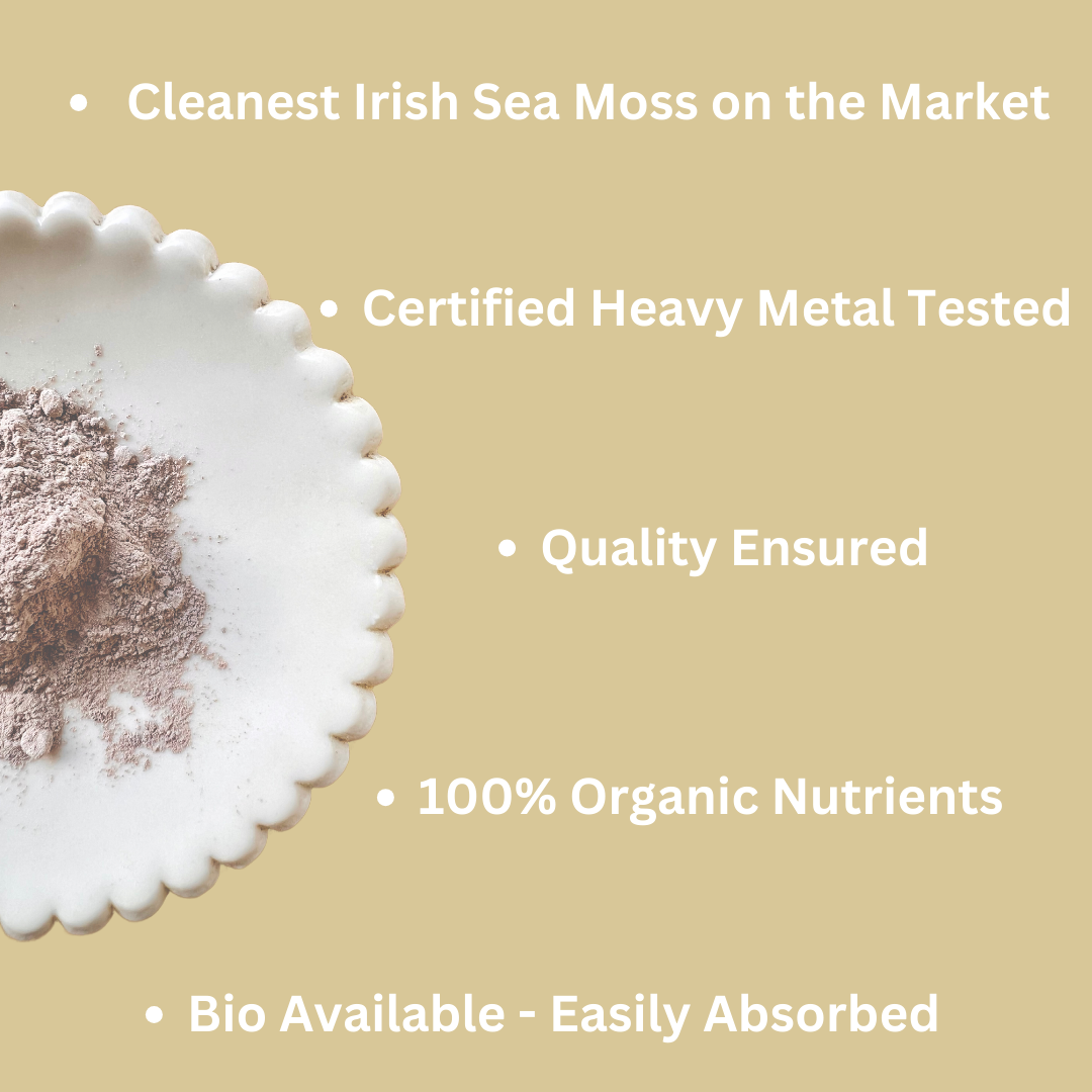 Irish Sea Moss & Bladderwrack  I  Organic & Wildcrafted