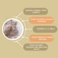 Whole Irish Sea Moss I Organic & Wildcrafted