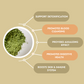 Greens Chlorophyll Blend I Organic & Wholefood