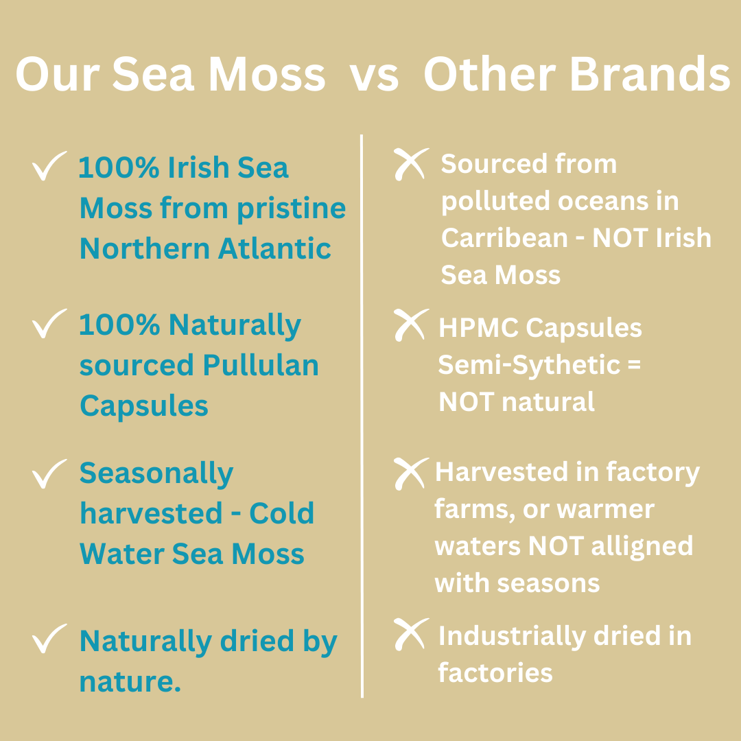 Irish Sea Moss & Bladderwrack  I  Organic & Wildcrafted