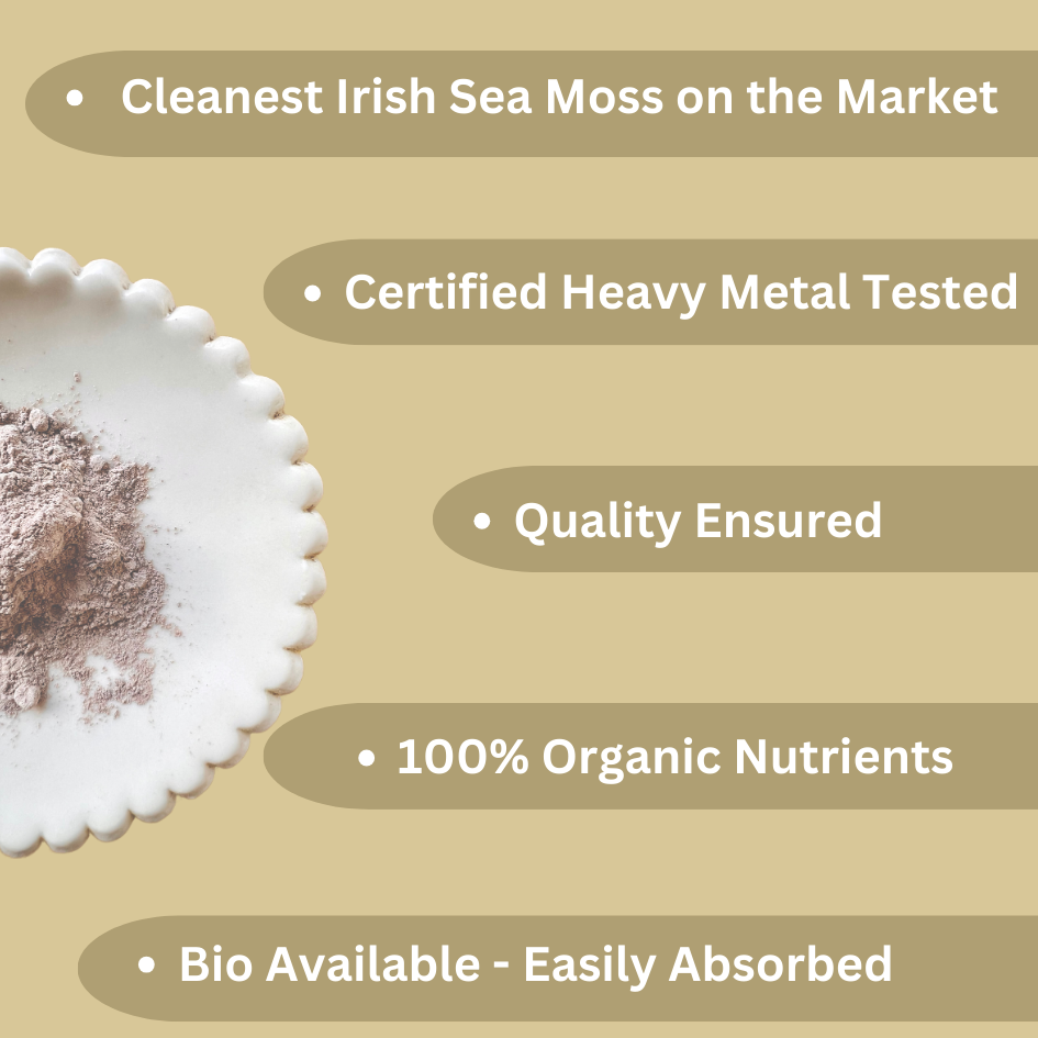 Irish Sea Moss I  Wildcrafted & Organic